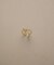decor『デコール』　Line curve ring
