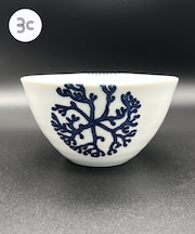 寿芳窯　フリーボウル大