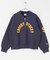 Champion　REVERSEWEAVE HALFZIPSWEAT