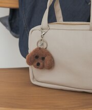 アニマルチャーム
