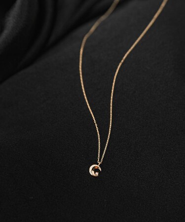 Favorible Moon×diamond necklace