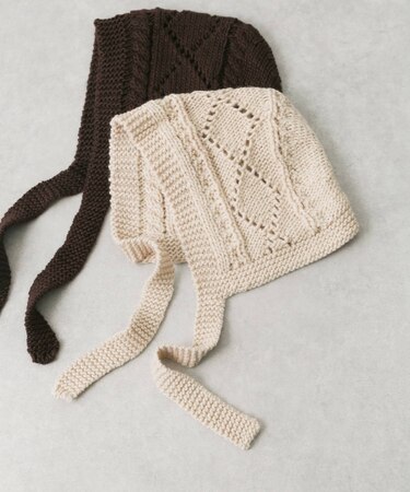 ケーブルアミボンネット