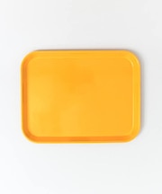 CAMBRO CAMTRAY MEDIUM∴