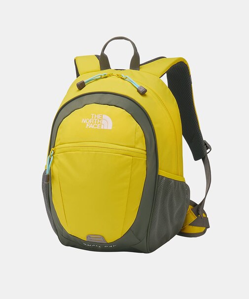 THE NORTH FACE K SMALL DAY 15L(KIDS)