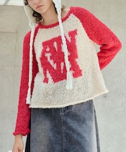 ANNA SUI NYC　フラッグヤーンANニットプルオーバー