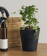 amabro ART STONE SSS BK