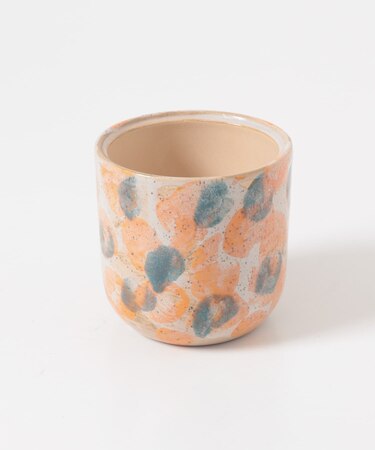 Inter Plants Net　パレット 10.5