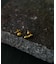 SMELLY so’　asymmetry grain pierce