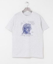 Cotton Expressions IMAGINATION T-SHIRTS