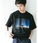 NATURE PHOTO SHORT-SLEEVE T-SHIRTS