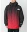 THE NORTH FACE　NOVELTY MOUNTAINLIGHT JACKET