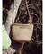 ペーパーミニショルダーBAG