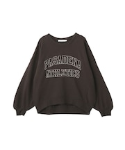 カレッジロゴドルマンスウェット