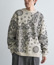 ペイズリー柄ニットプルオーバー