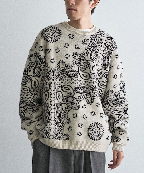 ペイズリー柄ニットプルオーバー