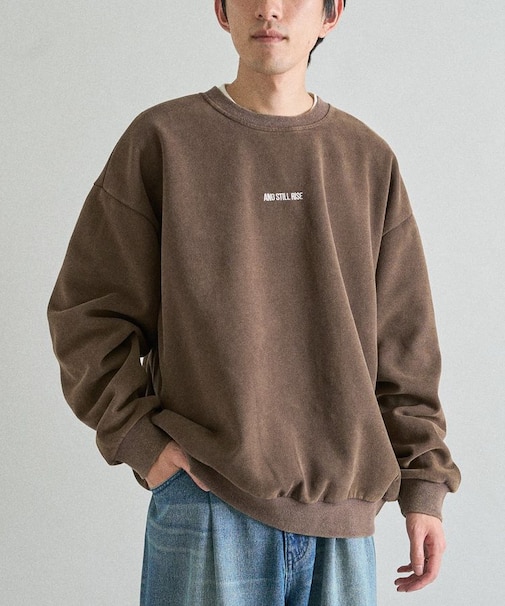 スノーウォッシュボンディング裏毛ロゴ刺繍スウェット