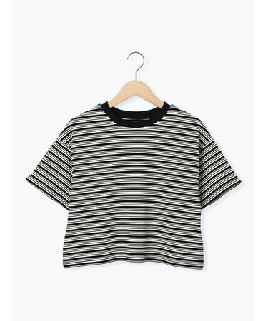 マルチボーダークロップドTシャツ