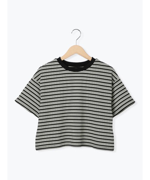 マルチボーダークロップドTシャツ