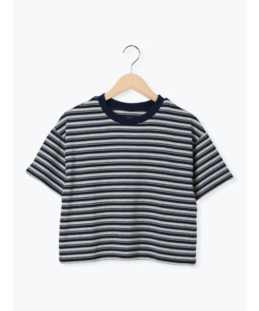 マルチボーダークロップドTシャツ