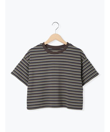 マルチボーダークロップドTシャツ