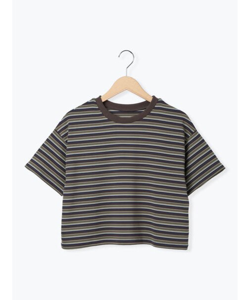 マルチボーダークロップドTシャツ