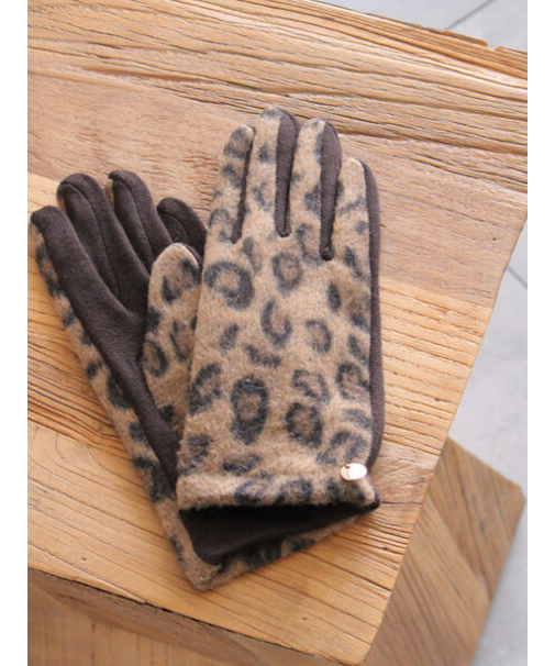 レオパード グローブ