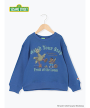 【FRUIT OF THE LOOM】ビッグバード トレーナー