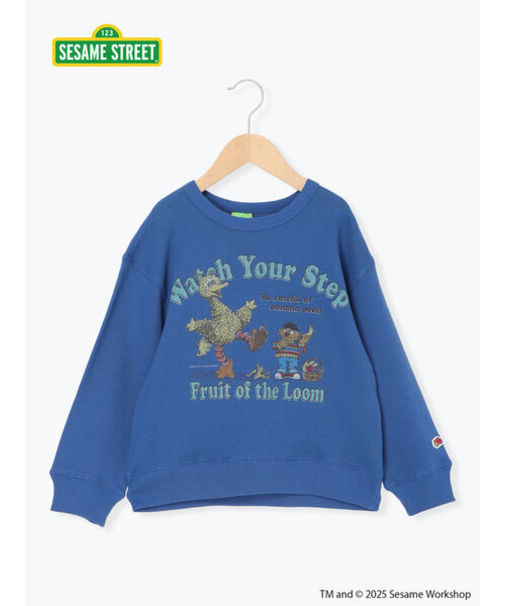 【FRUIT OF THE LOOM】ビッグバード トレーナー