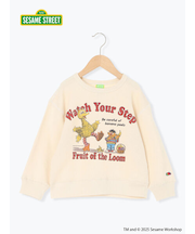 【FRUIT OF THE LOOM】ビッグバード トレーナー