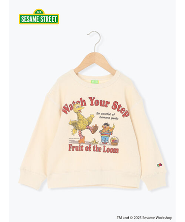 【FRUIT OF THE LOOM】ビッグバード トレーナー