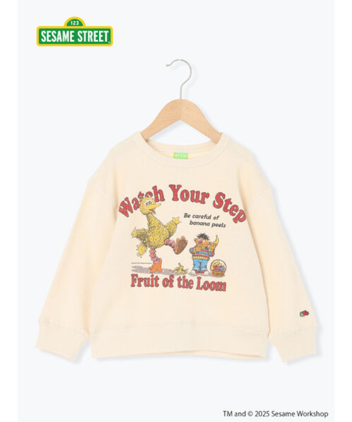 【FRUIT OF THE LOOM】ビッグバード トレーナー