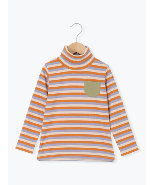 テレコボーダータートルネックカットソー