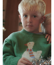 【マシンウォッシャブル】アヒルジャカードニット