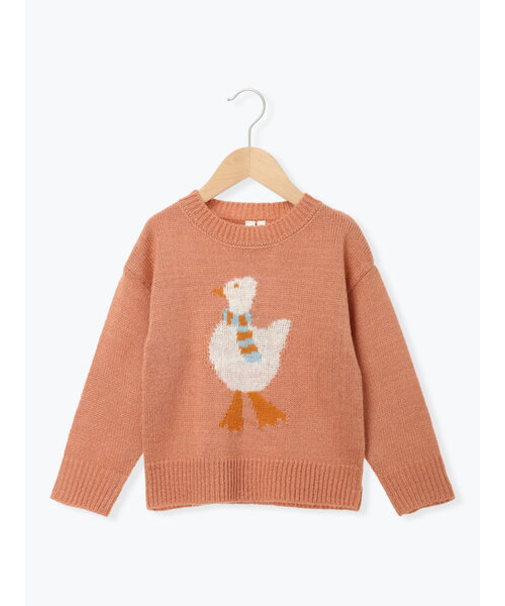 【マシンウォッシャブル】アヒルジャカードニット