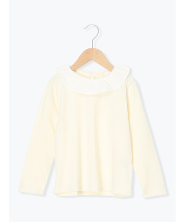 襟付きテレコカットソー