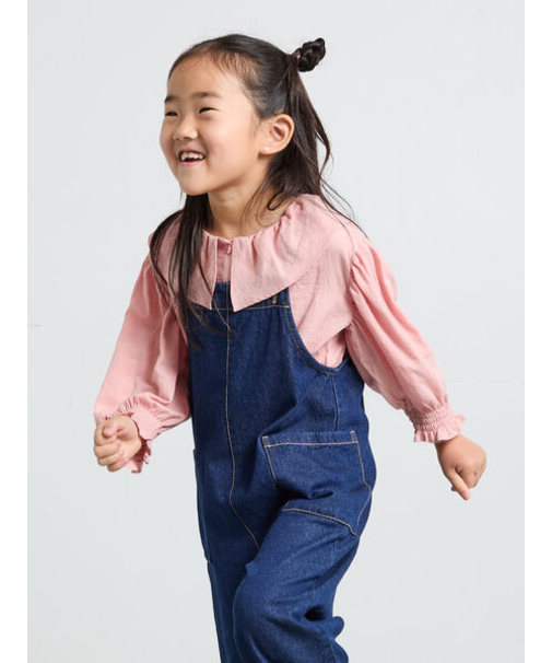 フリル襟ブラウス