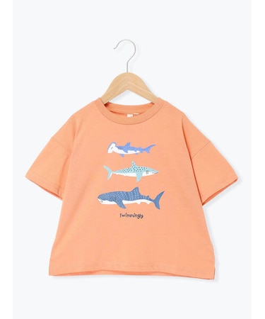【吸水速乾】サメプリントTシャツ