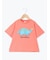 【吸水速乾】恐竜プリントTシャツ