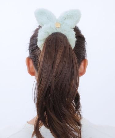 エコファー シュシュ