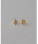 [ONLINE Limited] K10YG ワイヤー ピアス