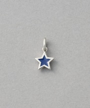 [トレジャーチャーム｜Lucky] スター