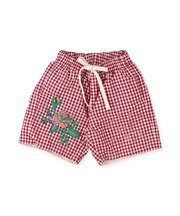 Colorful Shorts