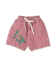 Colorful Shorts