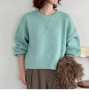 スパンコールショートニットプルオーバー