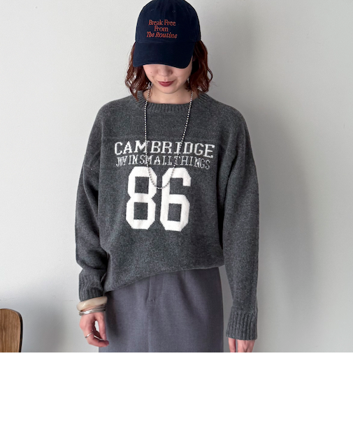 【マシンウォッシャブル】８６ロゴニット