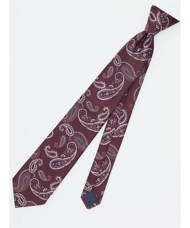 エコウォッシャブル ペイズリー柄 レギュラータイ 8.0cm幅