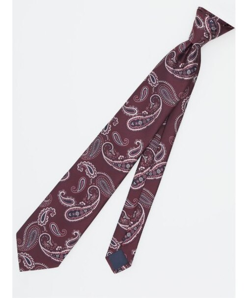 エコウォッシャブル ペイズリー柄 レギュラータイ 8.0cm幅