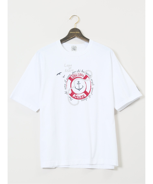 【大きいサイズ】シナコバ/SINA COVA 綿シルケット クルーネック半袖Tシャツ