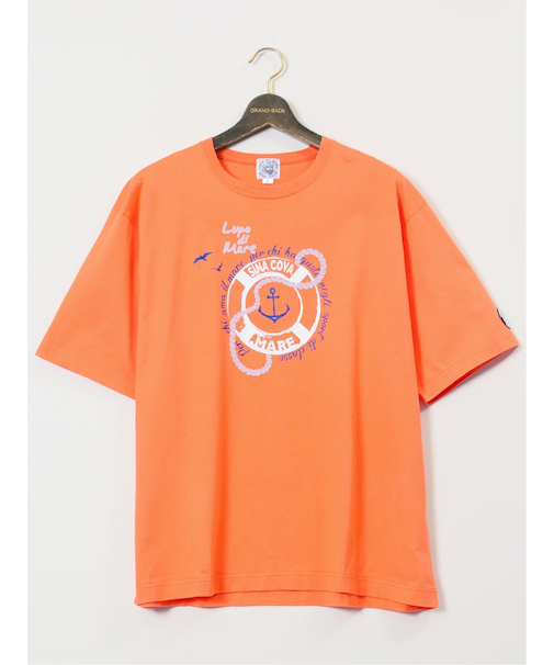 【大きいサイズ】シナコバ/SINA COVA 綿シルケット クルーネック半袖Tシャツ