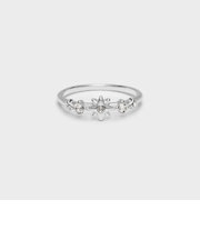 Everest エベレスト クリスタルスターリング